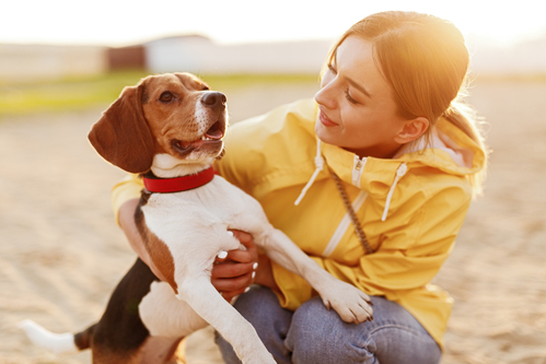 Caser Mascotas Responsabilidad Civil